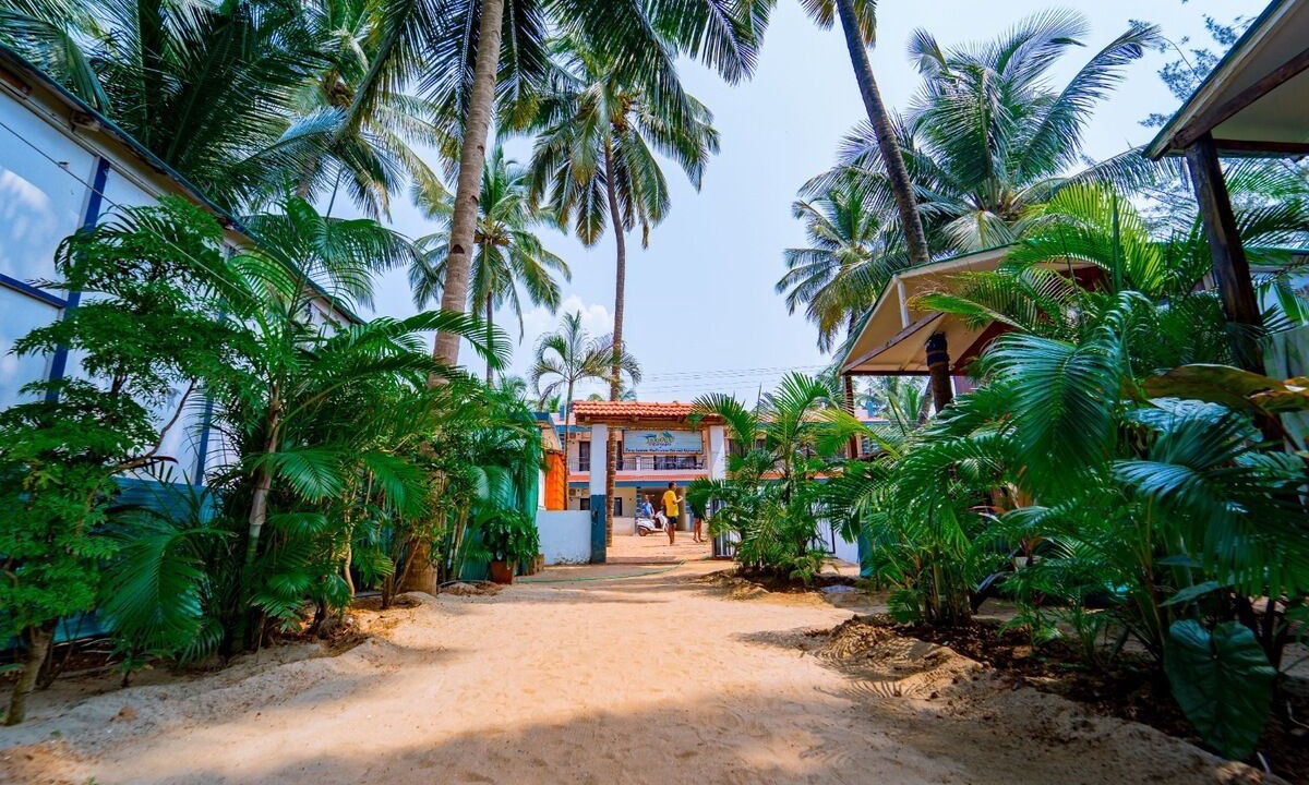 Photo of Outdoor in Agonda