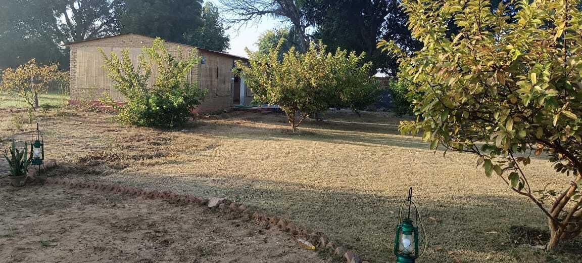 Photo of Outdoor in Jamool Khera