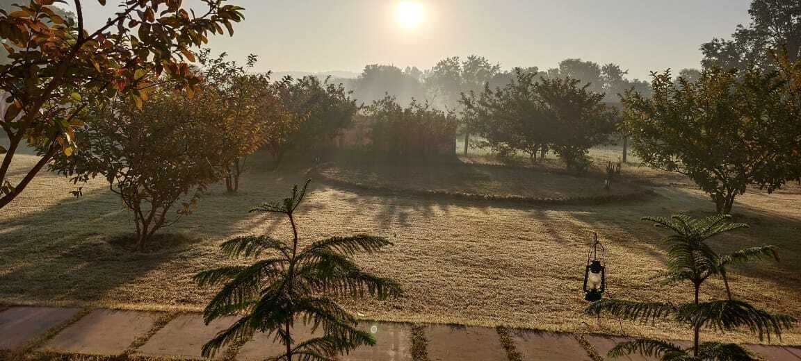 Photo of Outdoor in Jamool Khera
