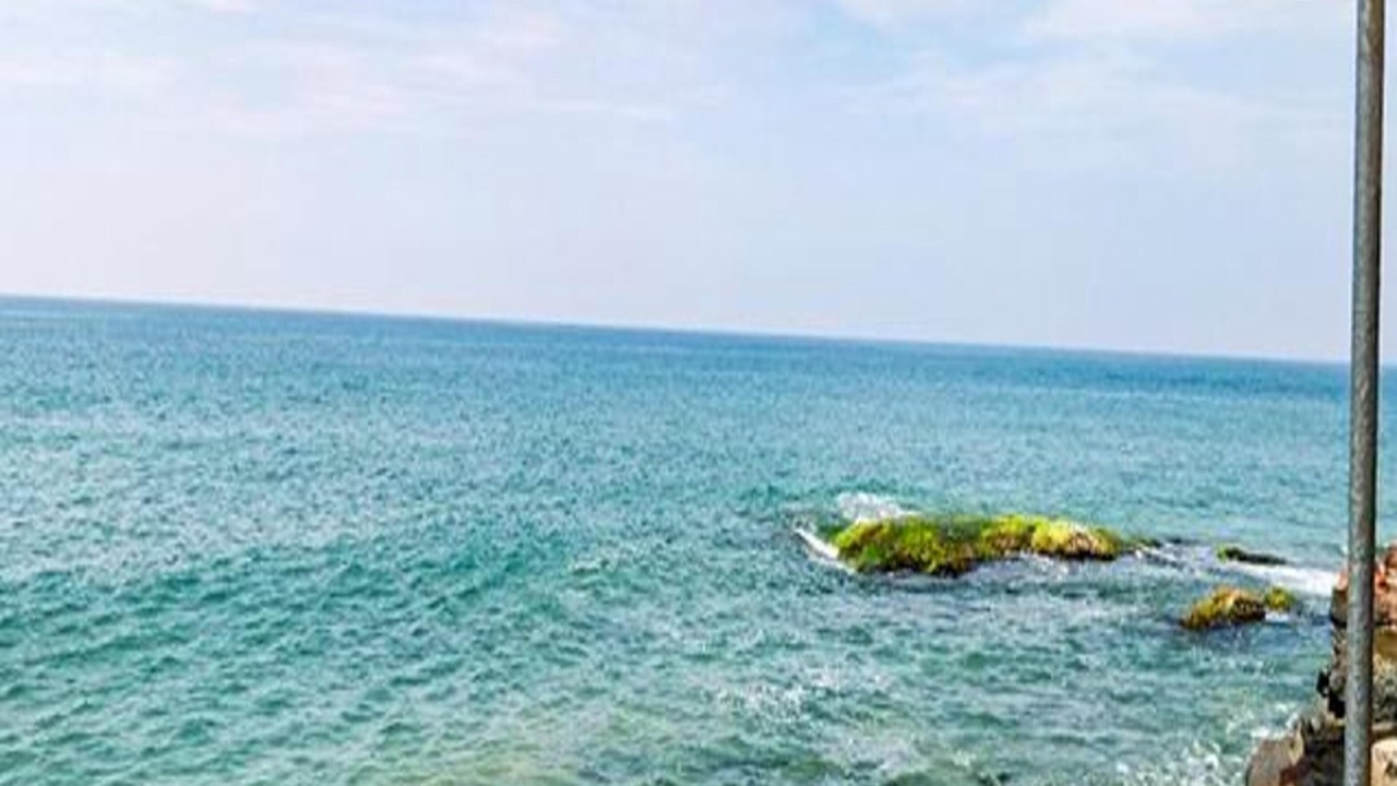 Photo of Others in Kovalam