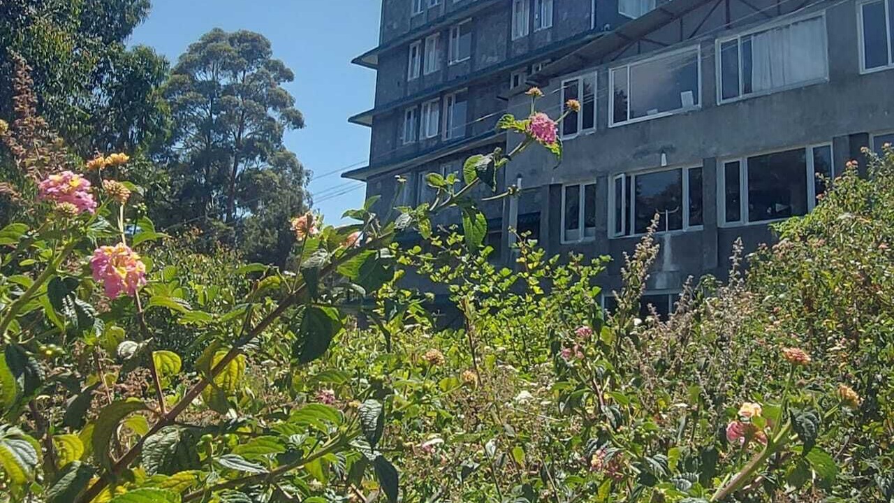 Photo of Outdoor in Kodaikanal