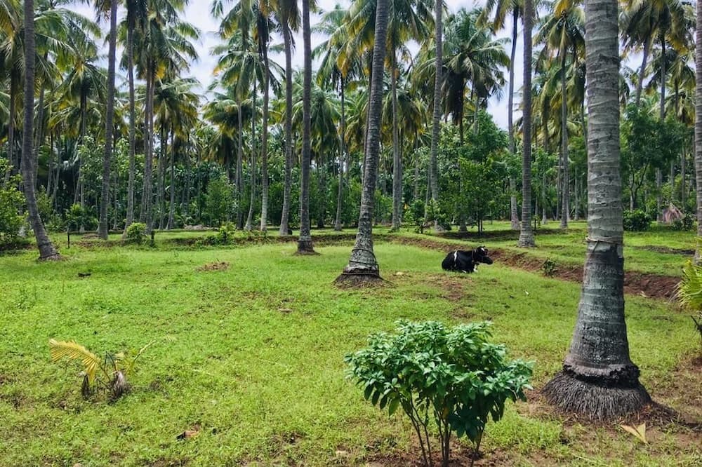 Photo of Outdoor in Anaimalai