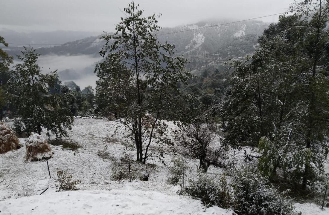 Photo of Patio Balcony in Kausani