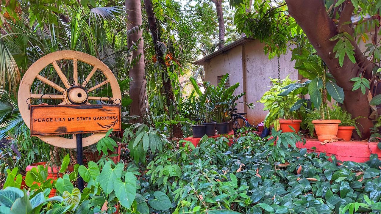 Photo of Outdoor in Karjat