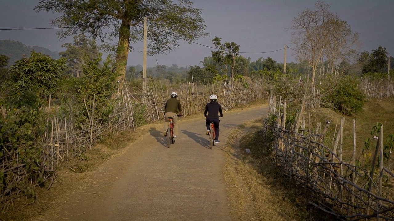 Photo of Outdoor in Umaria