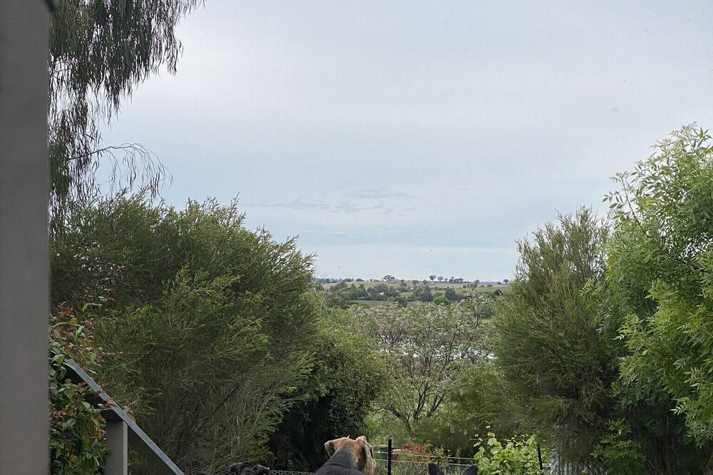 Photo of Outdoor in Canowindra