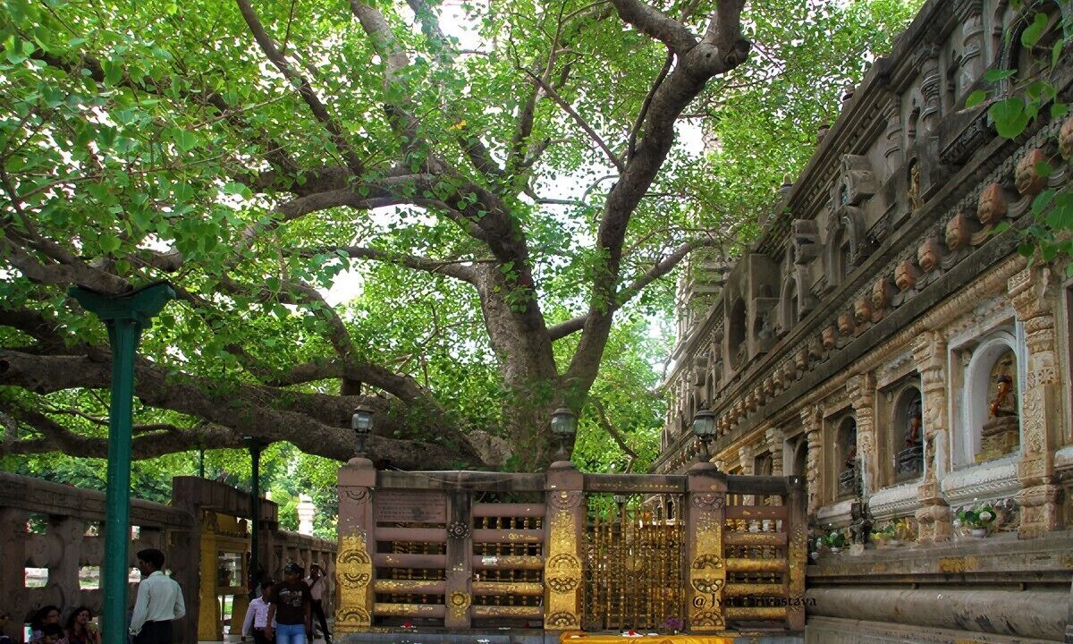 Photo of Others in Masaurhi