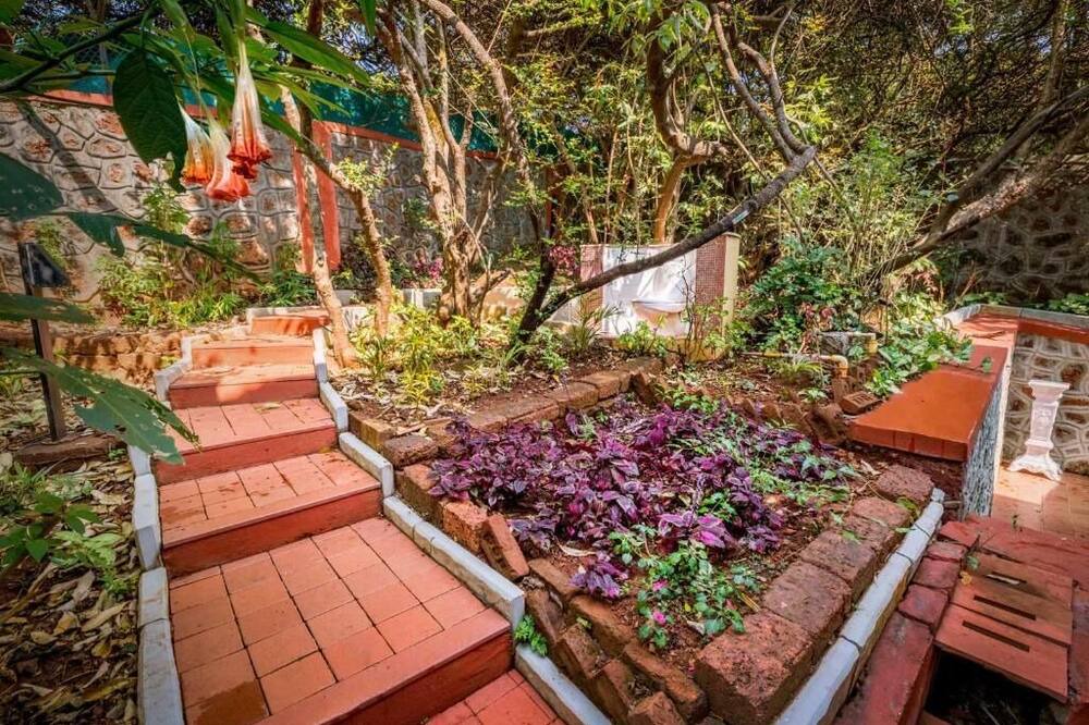 Photo of Outdoor in Old Mahabaleshwar