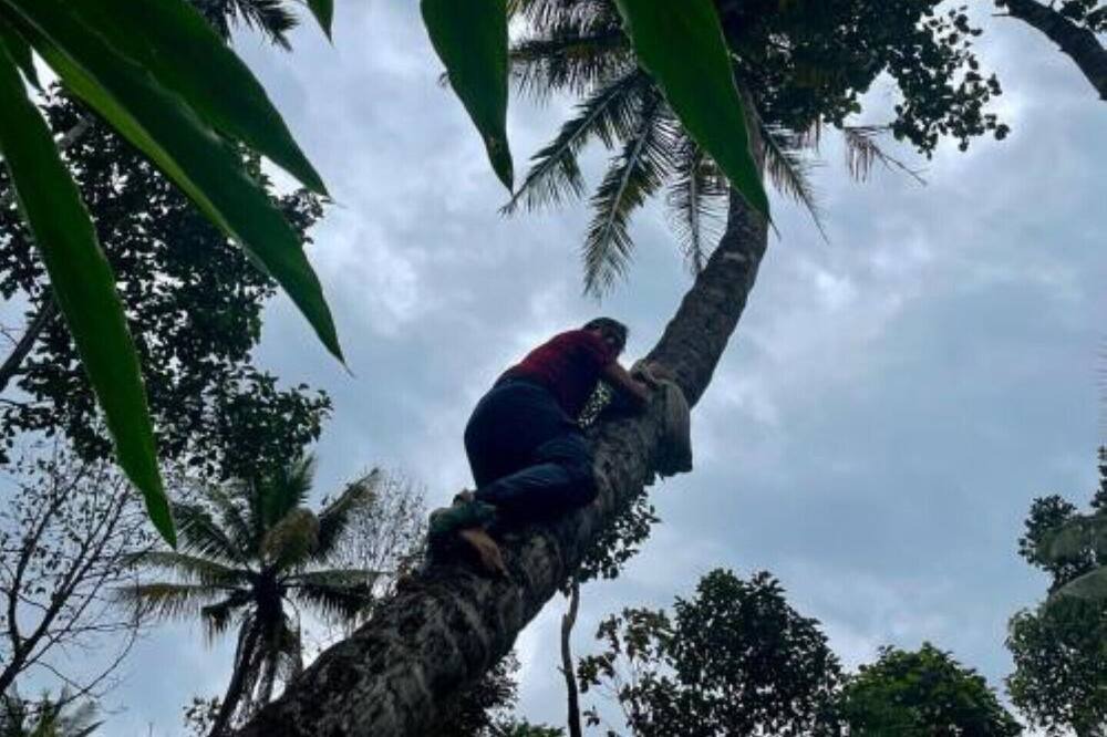Photo of Others in Anaviratty