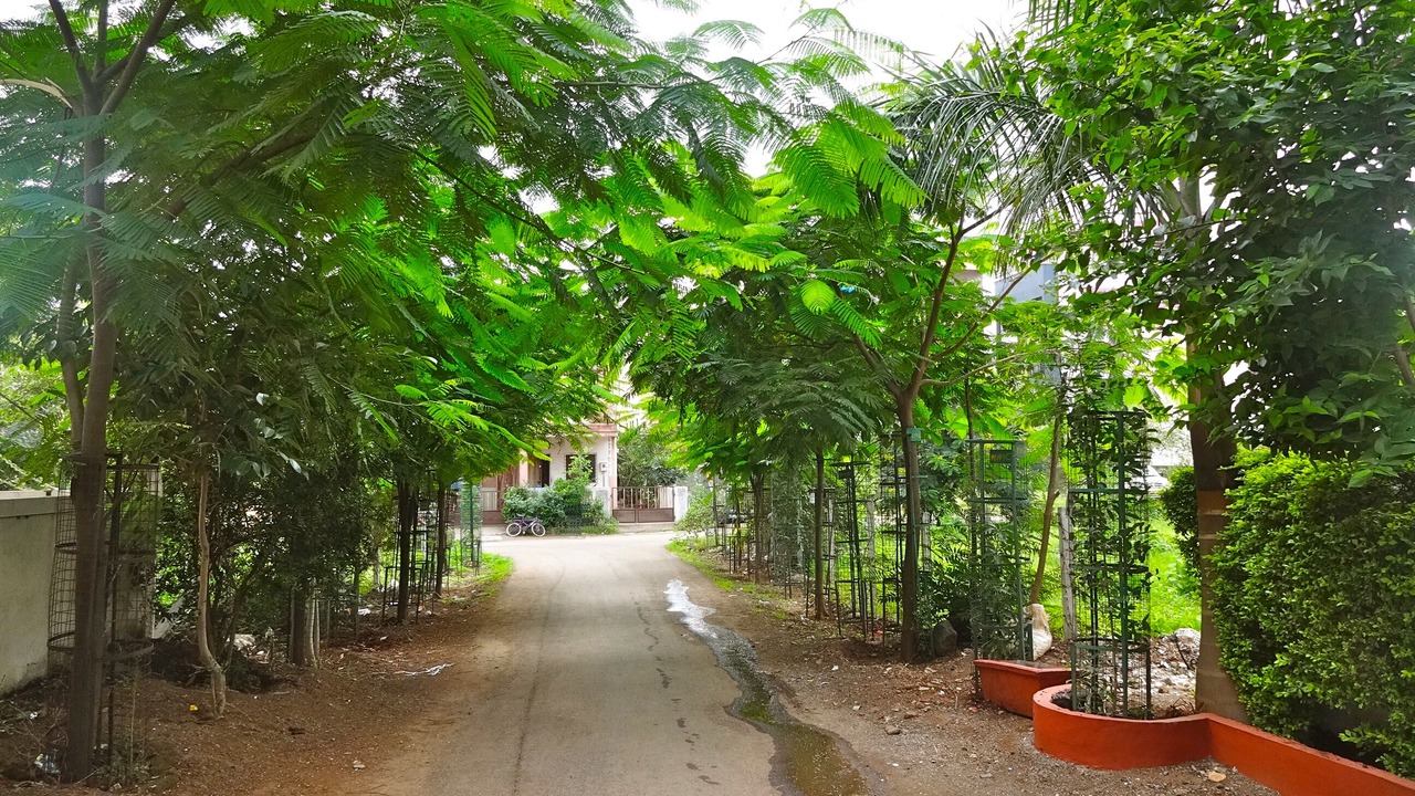 Photo of Outdoor in Nashik