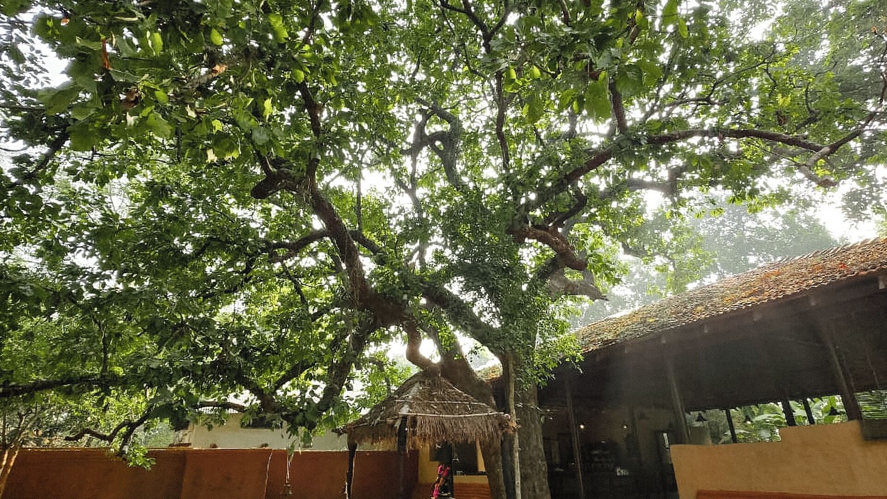 Photo of Outdoor in Tala