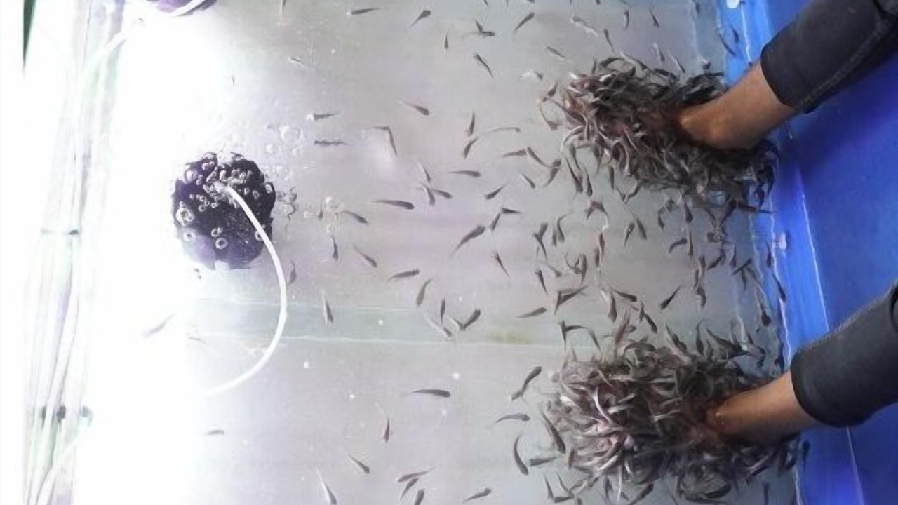 Photo of Outdoor in Karjat
