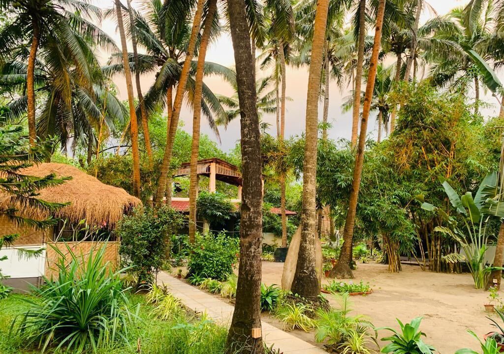 Photo of Outdoor in Morjim