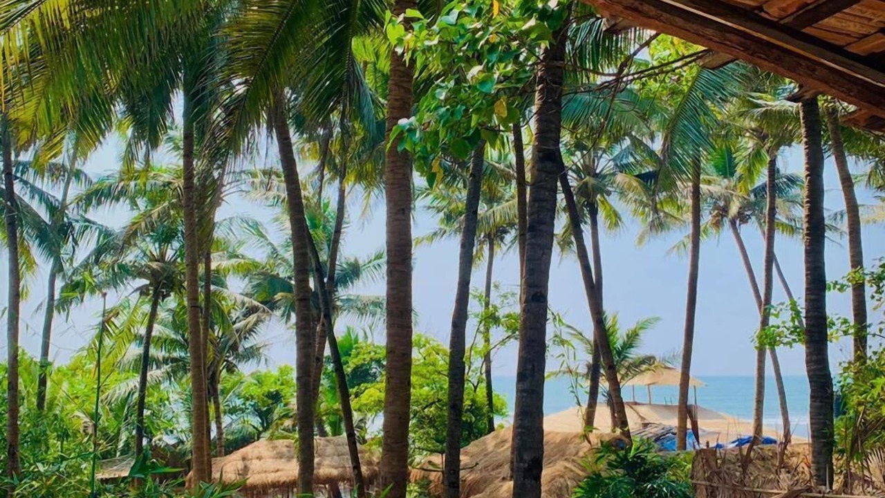 Photo of Outdoor in Morjim