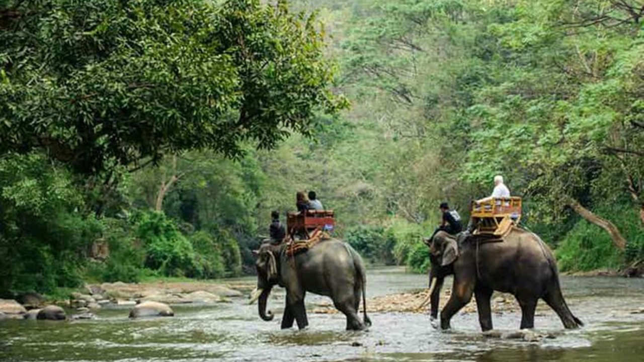 Photo of Others in Devikolam