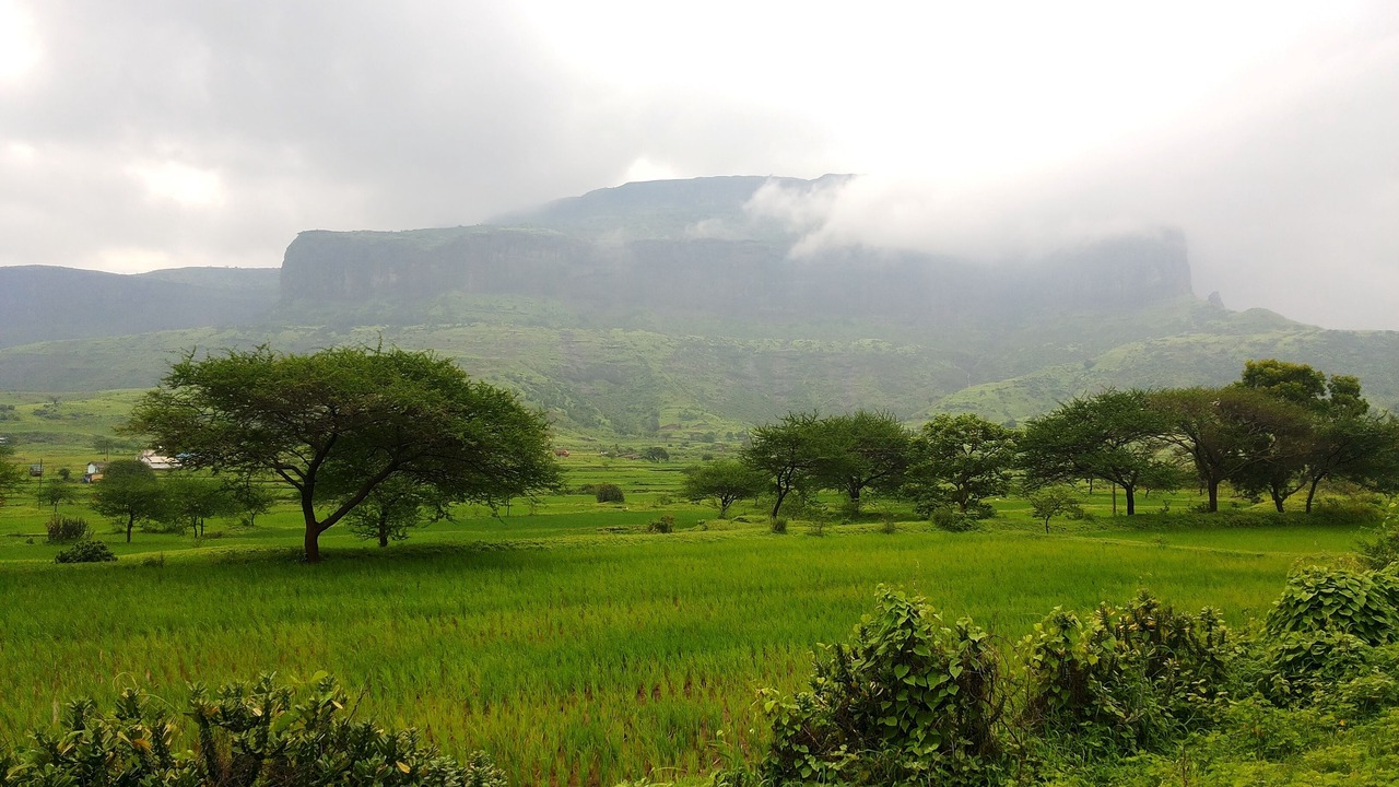 Photo of Others in Nashik