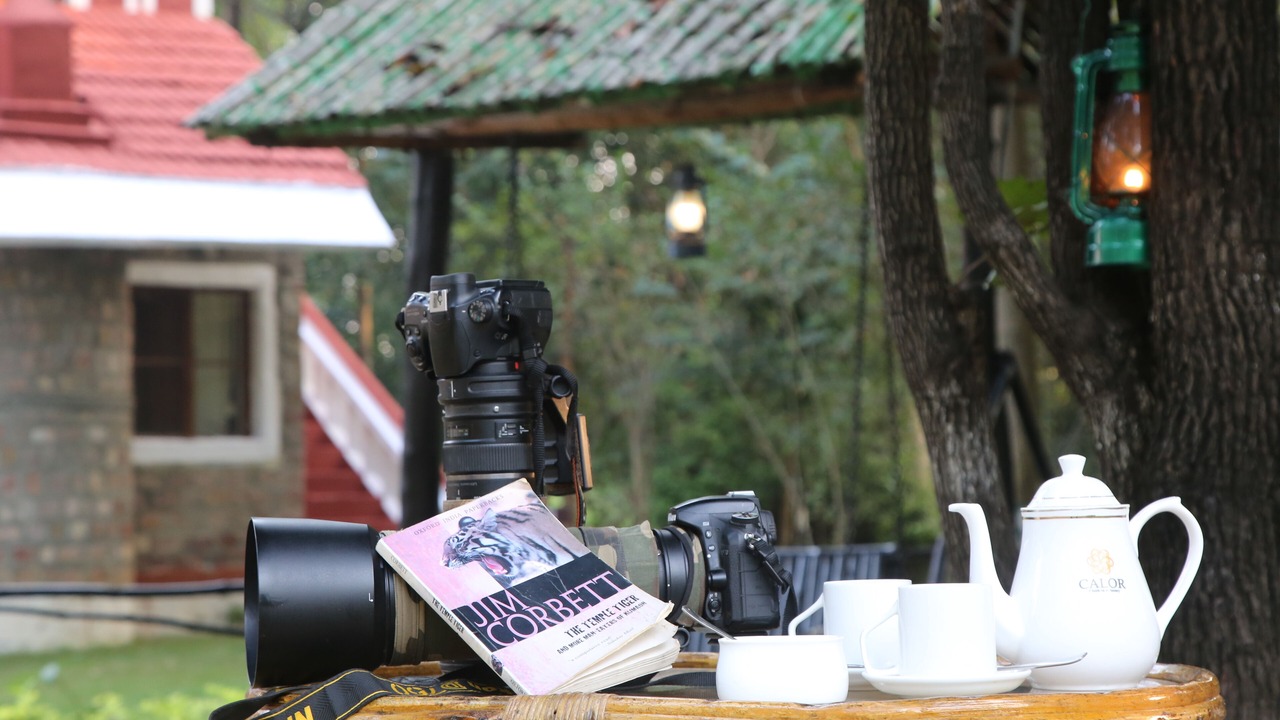Photo of Outdoor in Tala