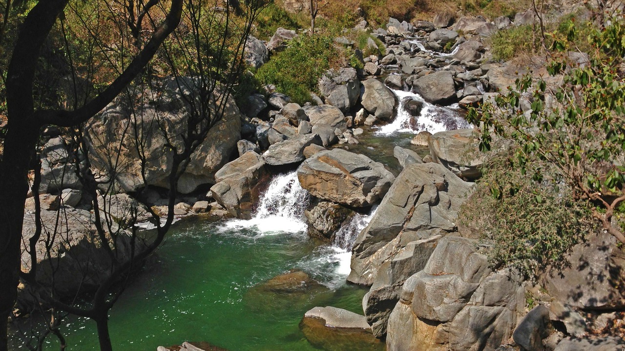Photo of Others in Nainital