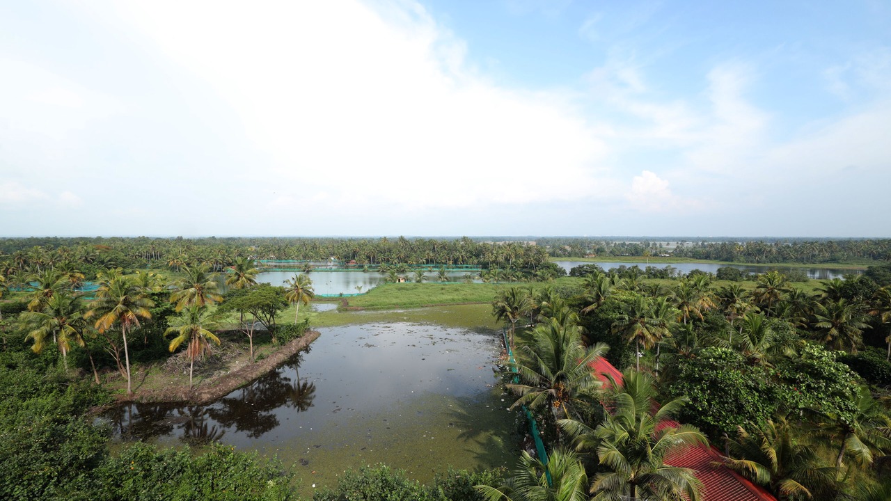 Photo of Others in Kumarakom