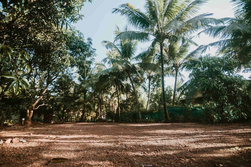 Photo of Outdoor in Murud