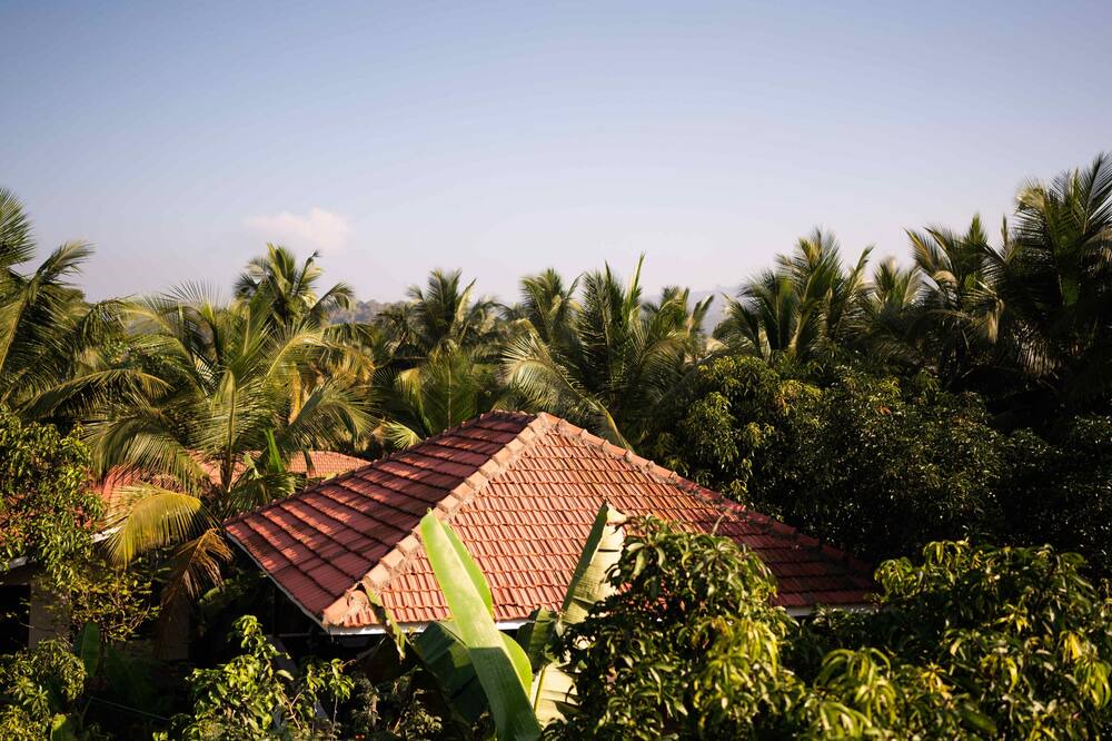 Photo of Outdoor in Murud