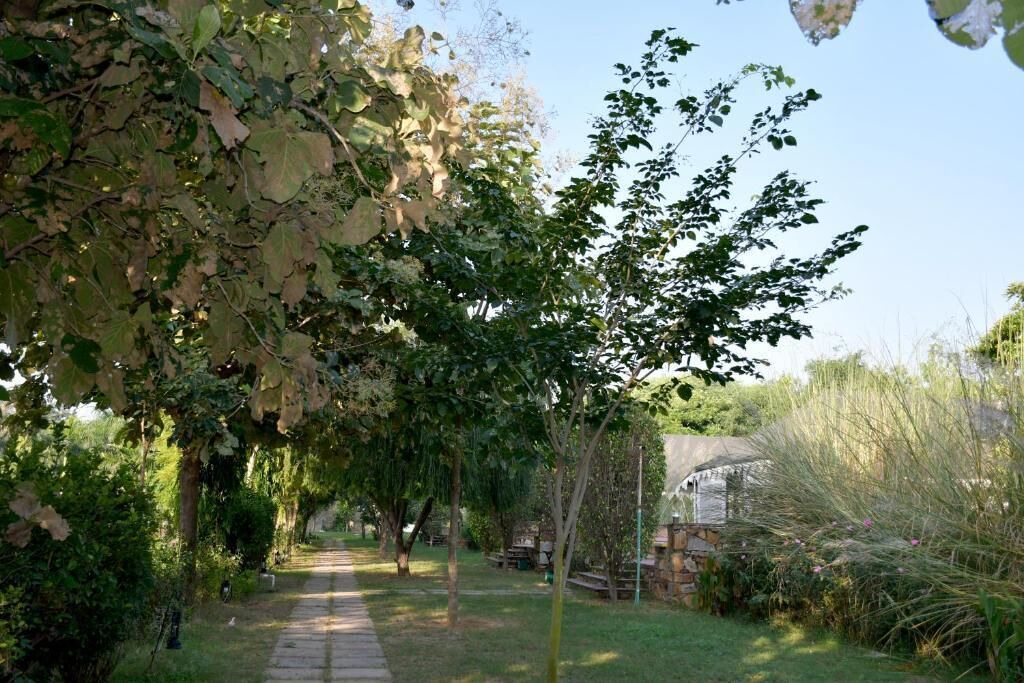 Photo of Outdoor in Sawai Madhopur