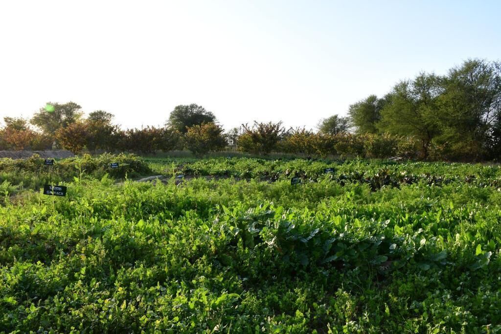 Photo of Outdoor in Sawai Madhopur