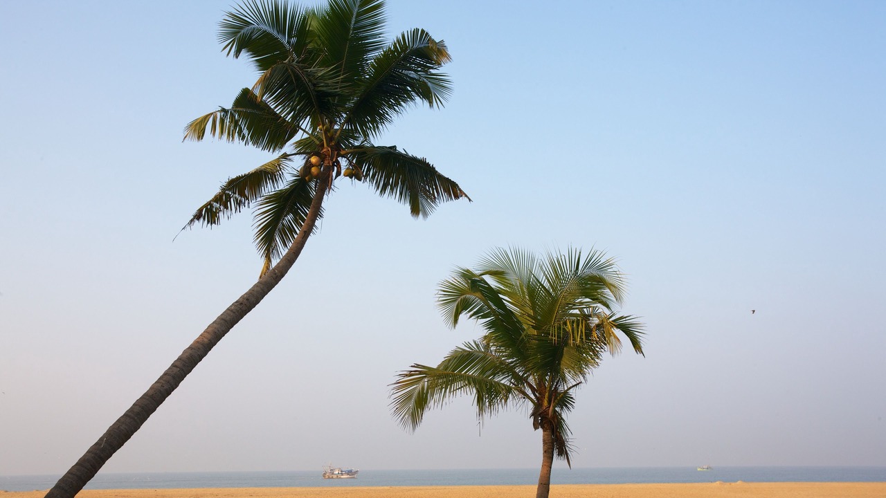 Photo of Others in Neeleshwar
