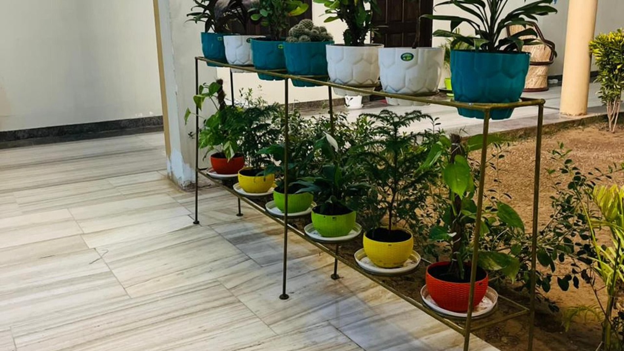 Photo of Outdoor in Pushkar