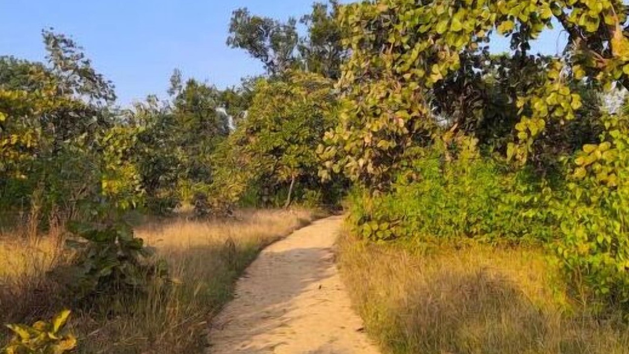 Photo of Outdoor in Umaria