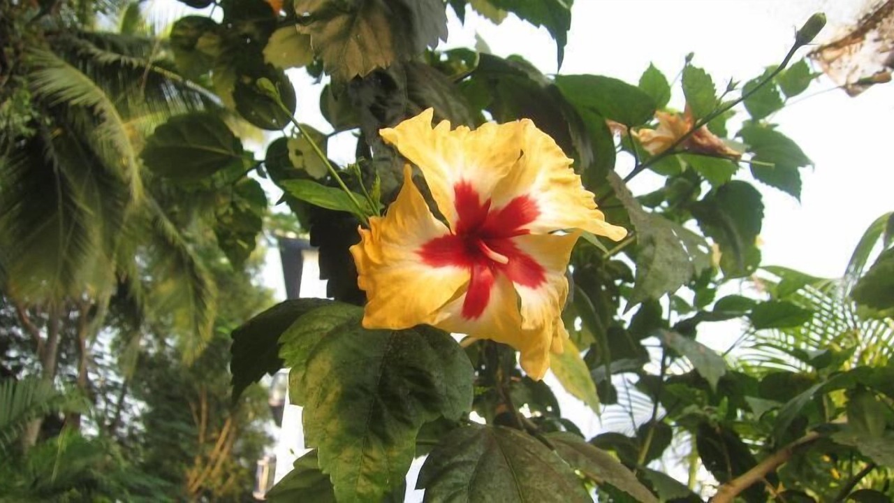 Photo of Outdoor in Saunta Vaddo
