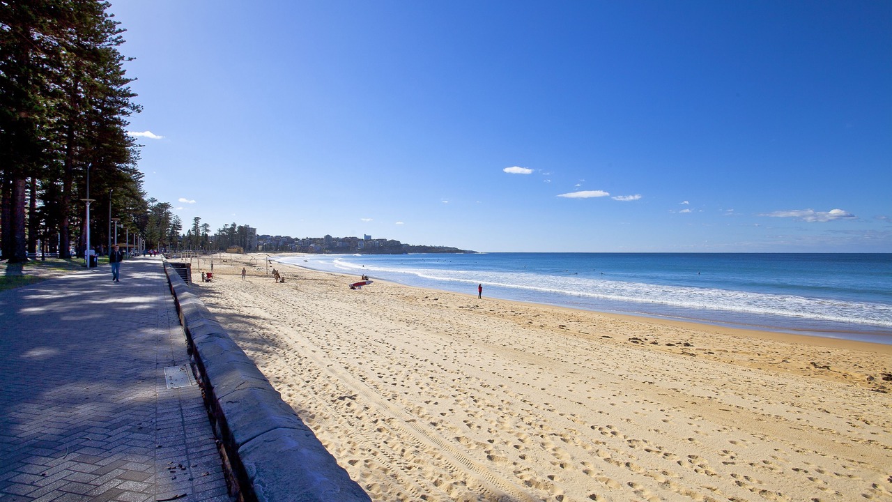 Photo of Others in Manly