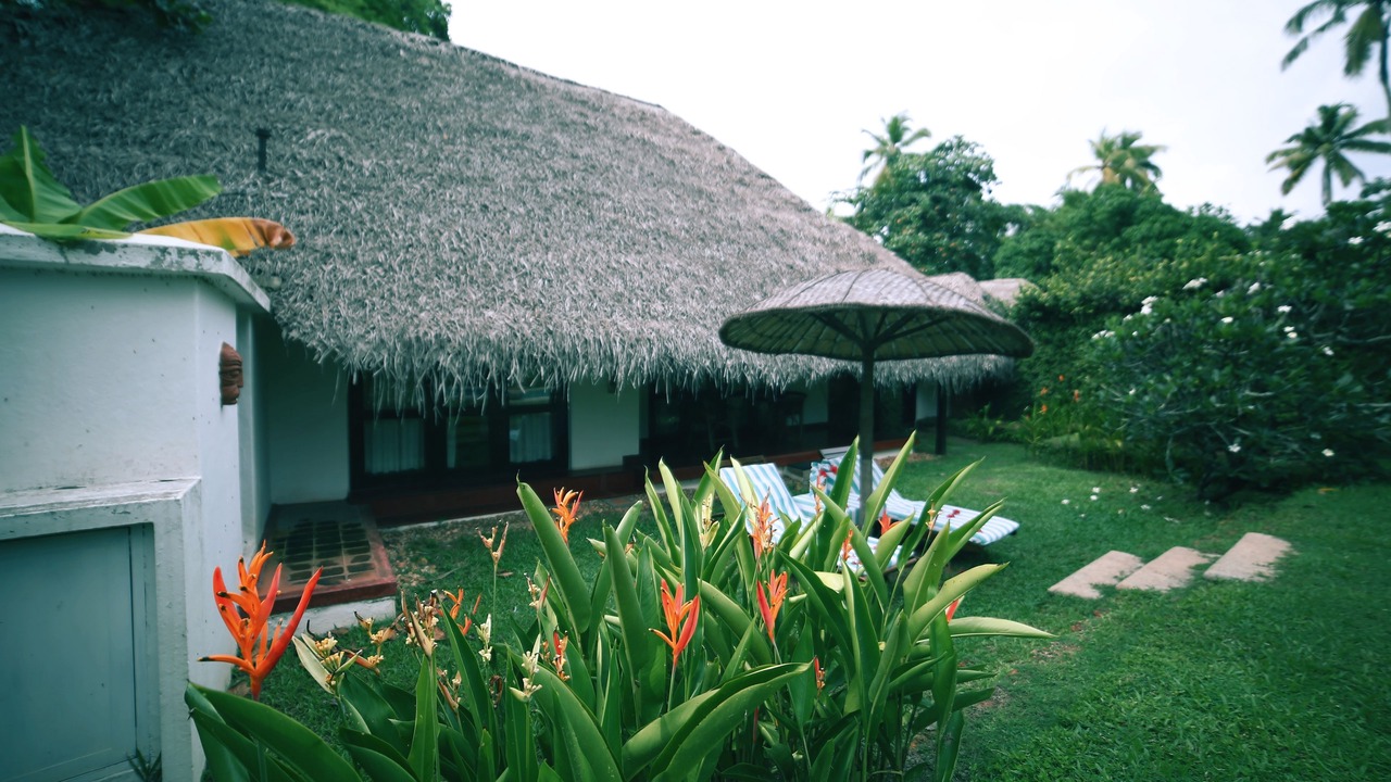Photo of Outdoor in Mararikulam