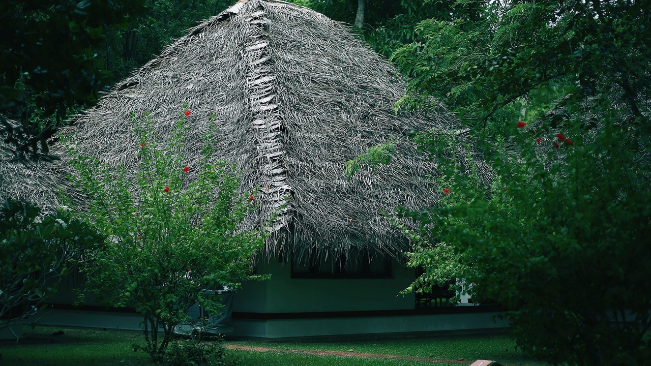 Photo of Bedroom in Mararikulam
