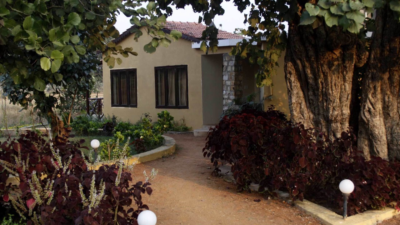 Photo of Outdoor in Tala