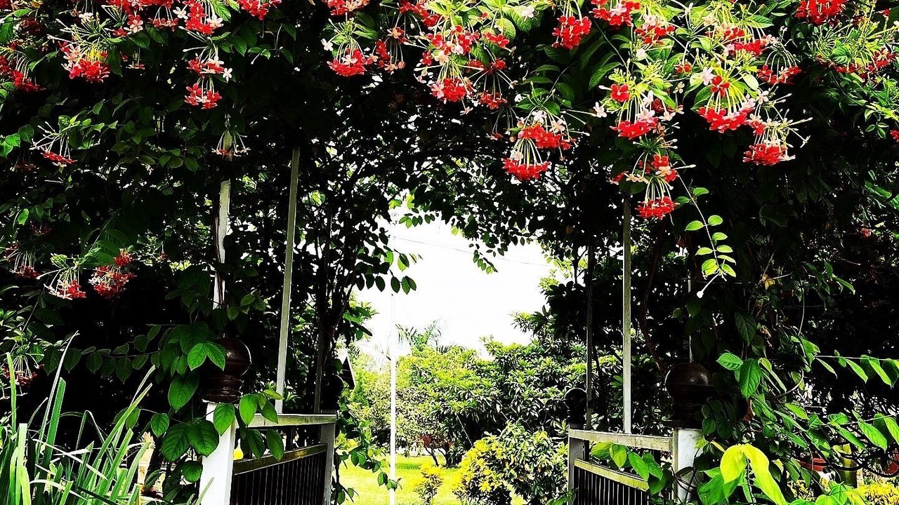 Photo of Outdoor in Karjat