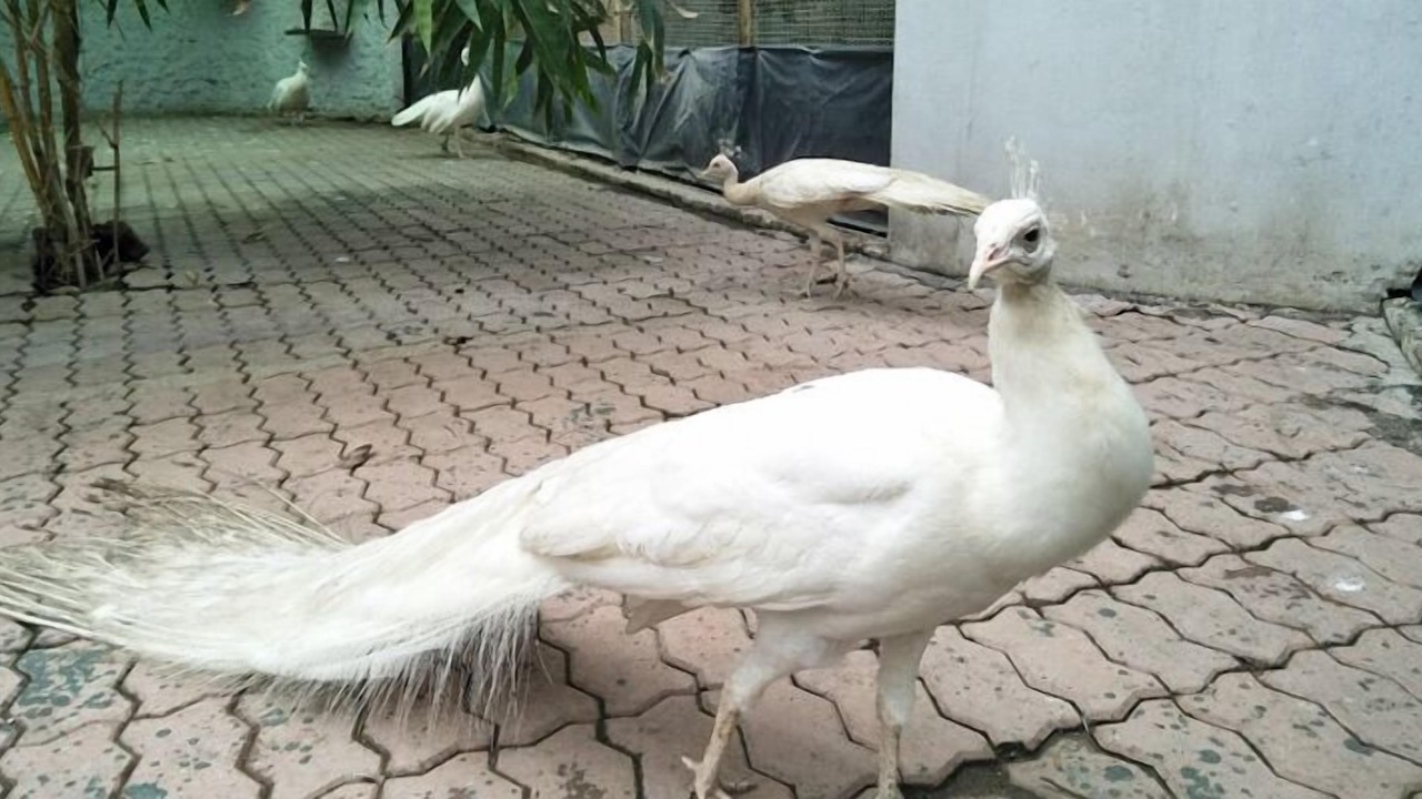 Photo of Others in Surat