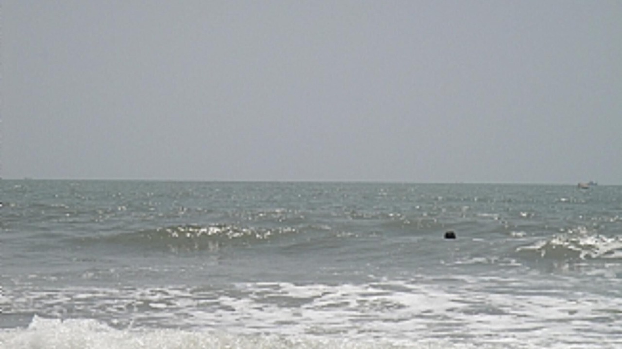 Photo of Others in Benaulim