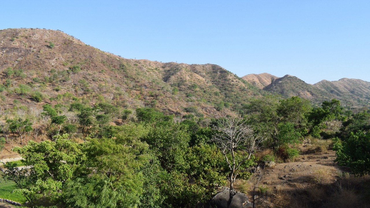 Photo of Others in Kumbhalgarh