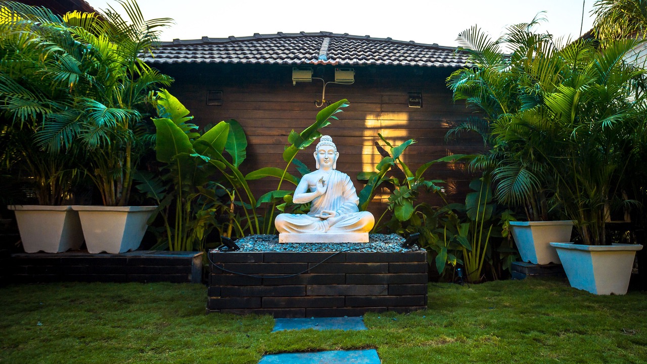 Photo of Outdoor in Morjim