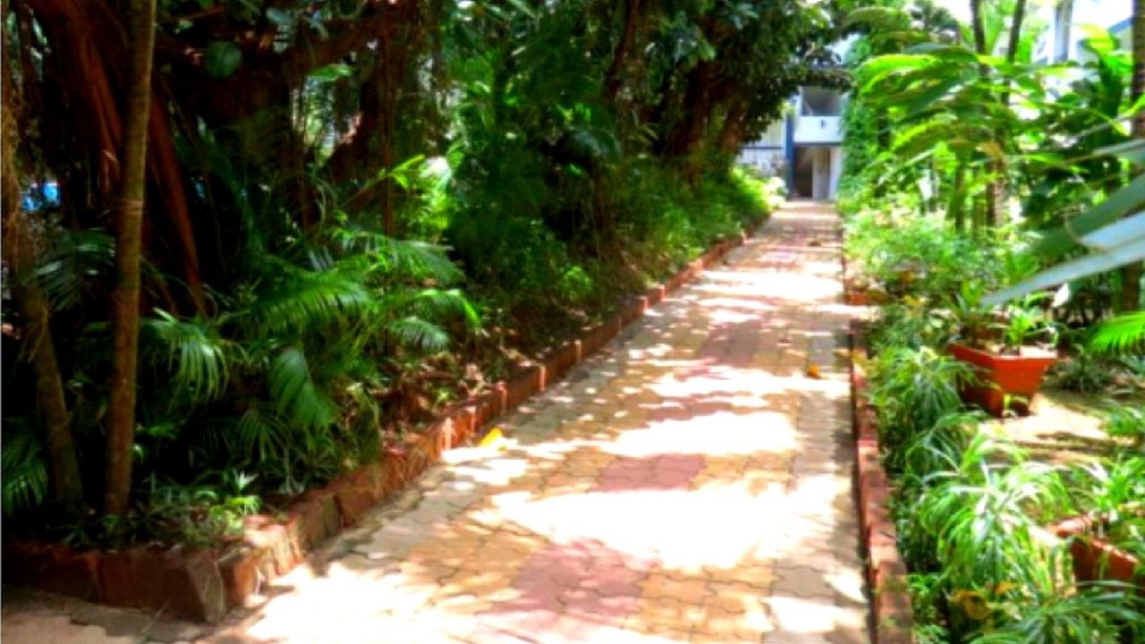 Photo of Outdoor in Arpora