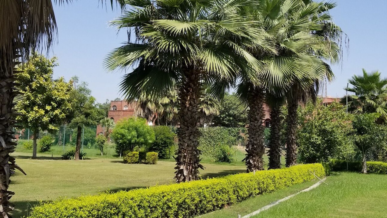 Photo of Outdoor in Chhata