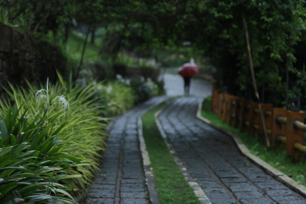 Photo of Outdoor in Udumbanchola