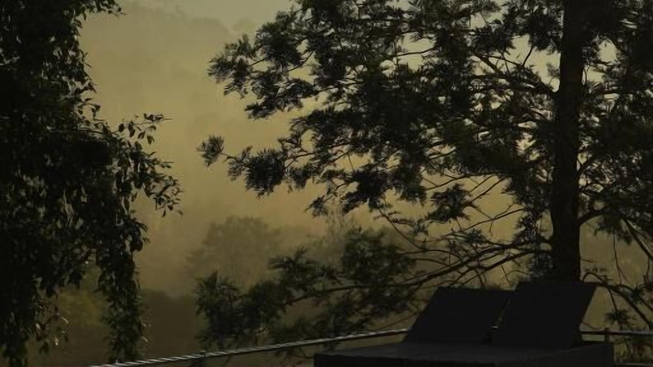 Photo of Outdoor in Udumbanchola