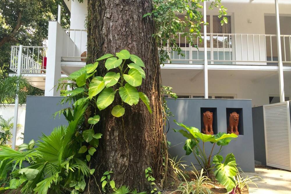 Photo of Outdoor in Fort Kochi
