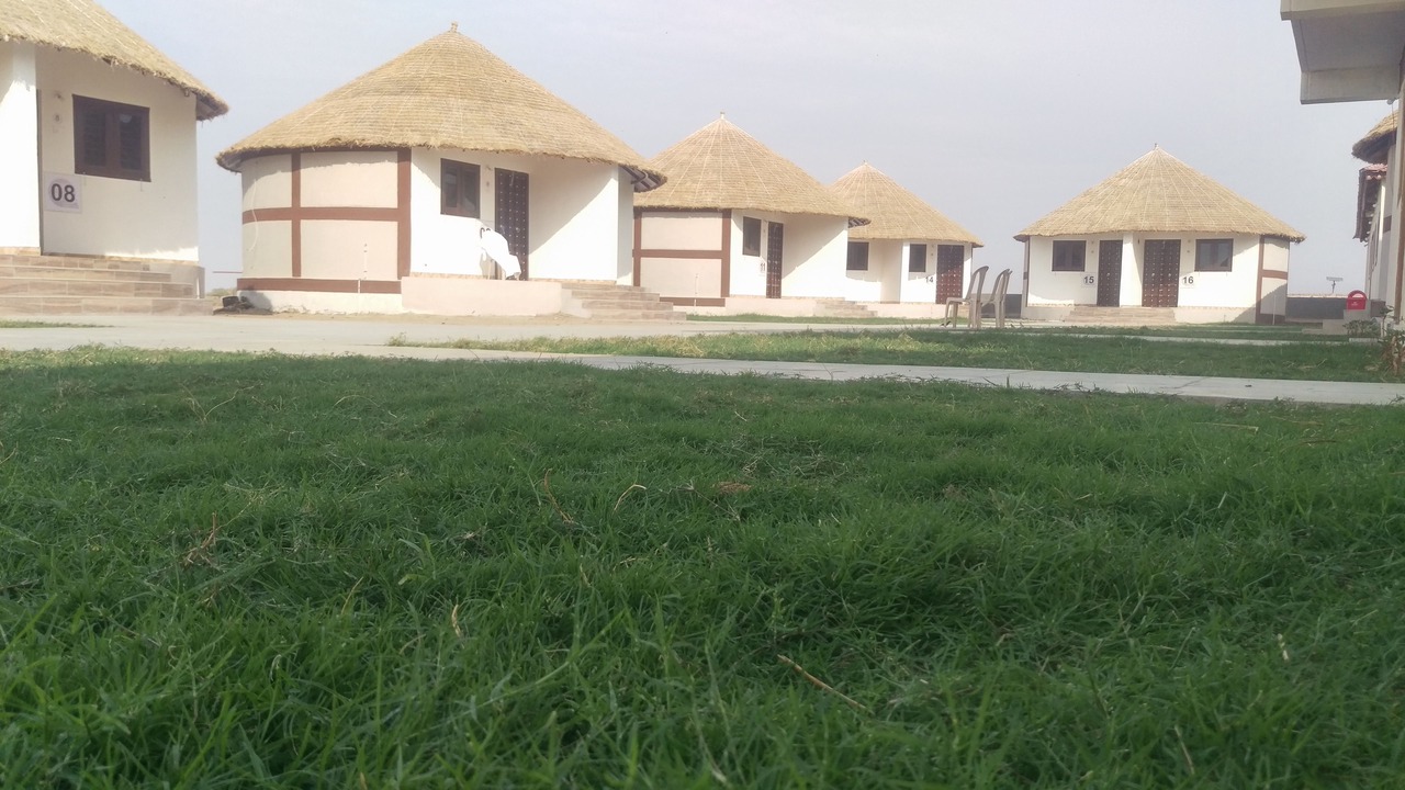 Photo of Others in Dholavira