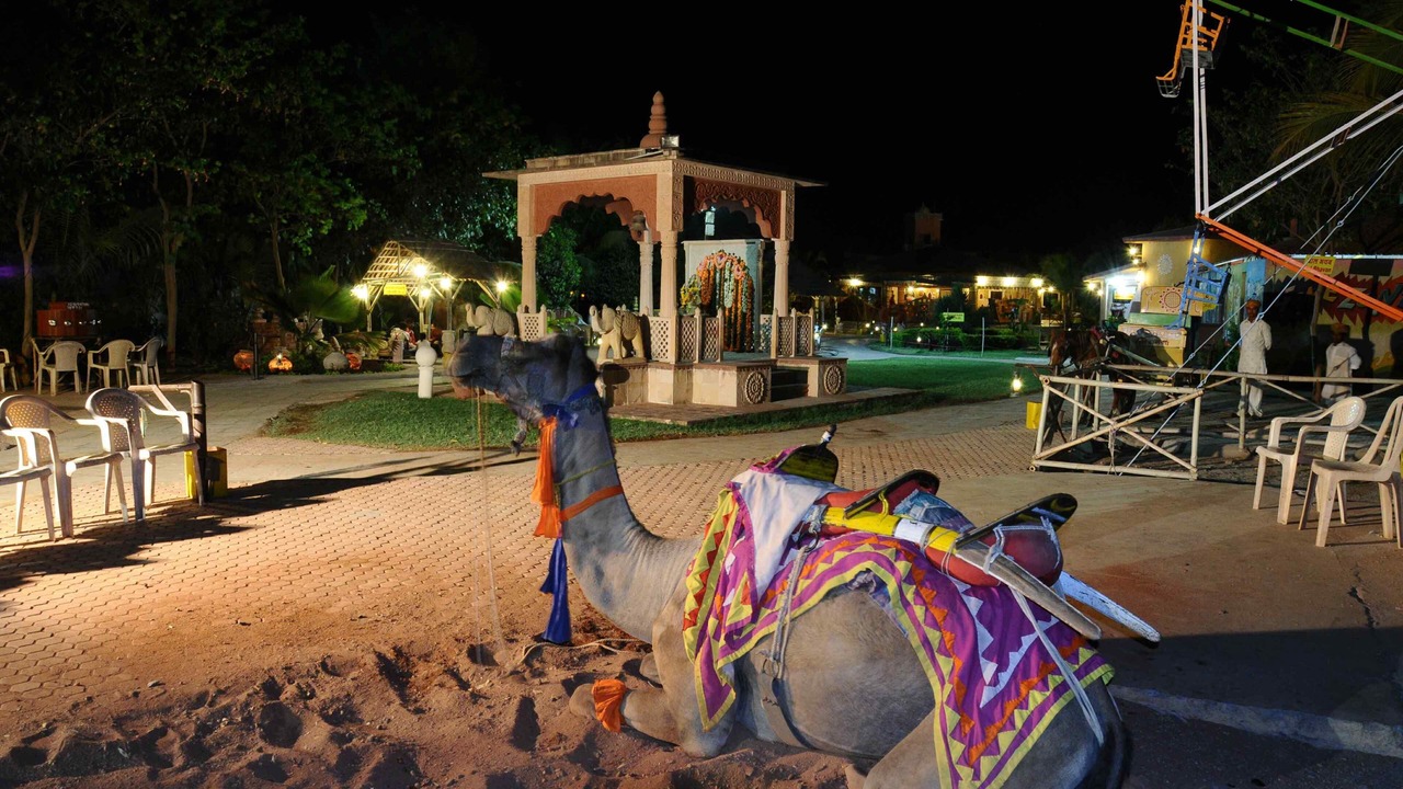 Photo of Outdoor in Taragadi