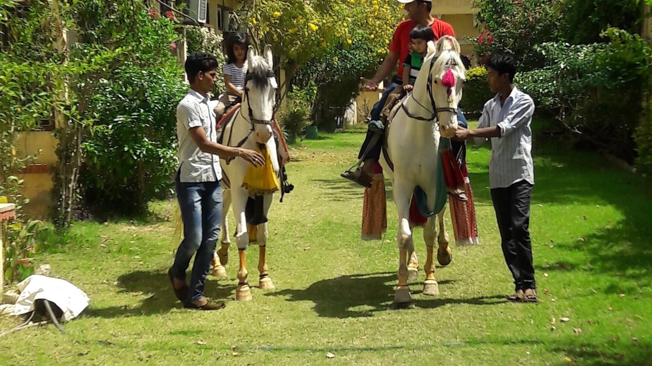 Photo of Others in Bassi