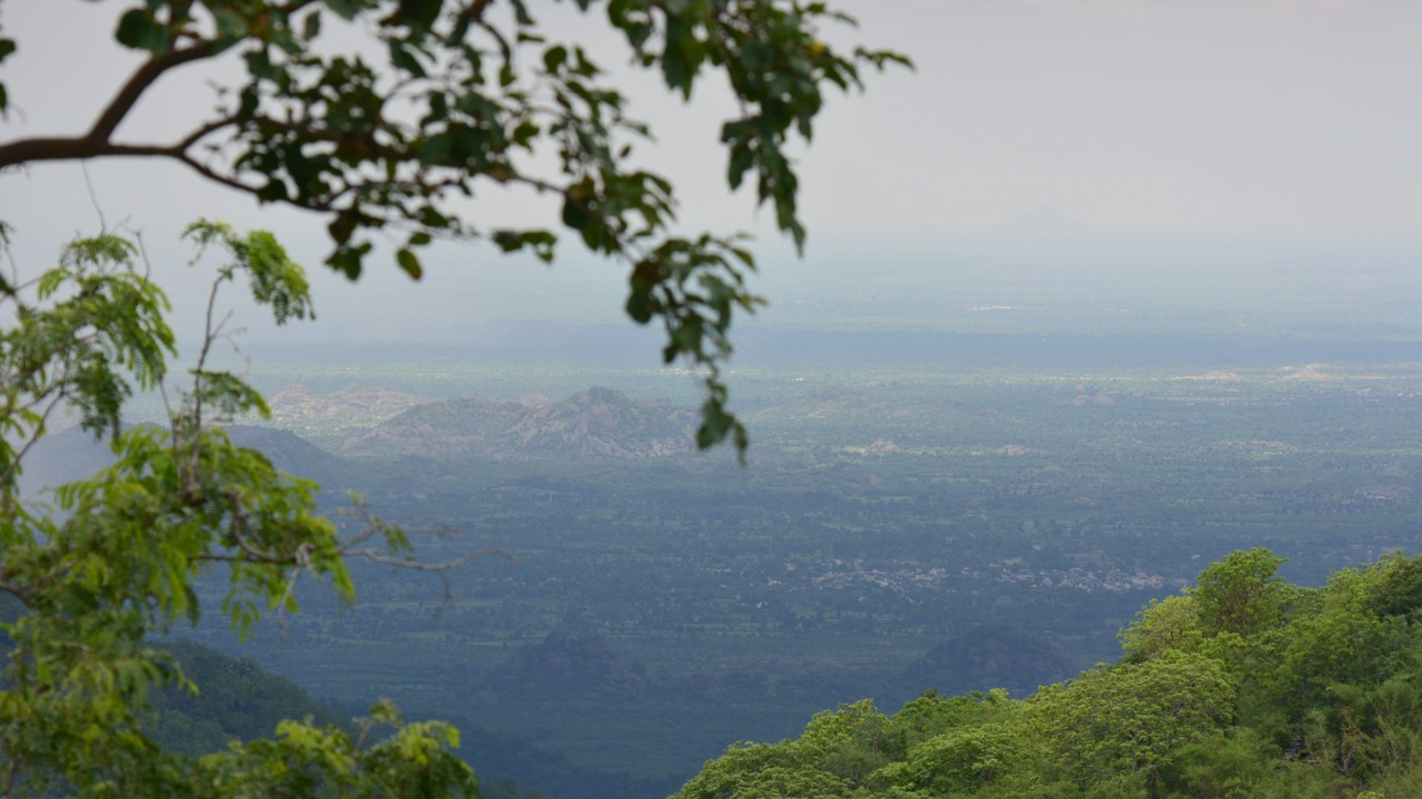 Photo of Others in Kumbhalgarh