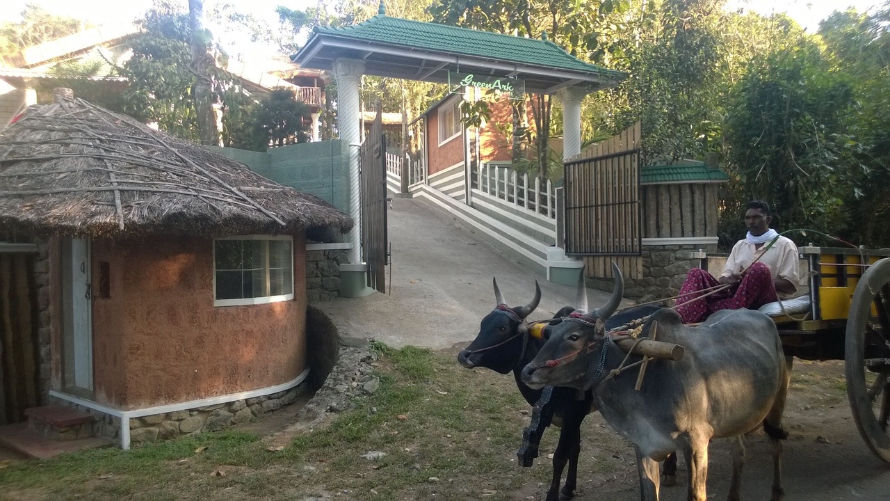 Photo of Outdoor in Kumily